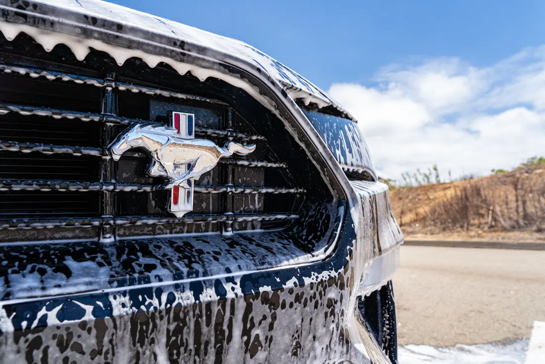 Mustang grille covered in foam